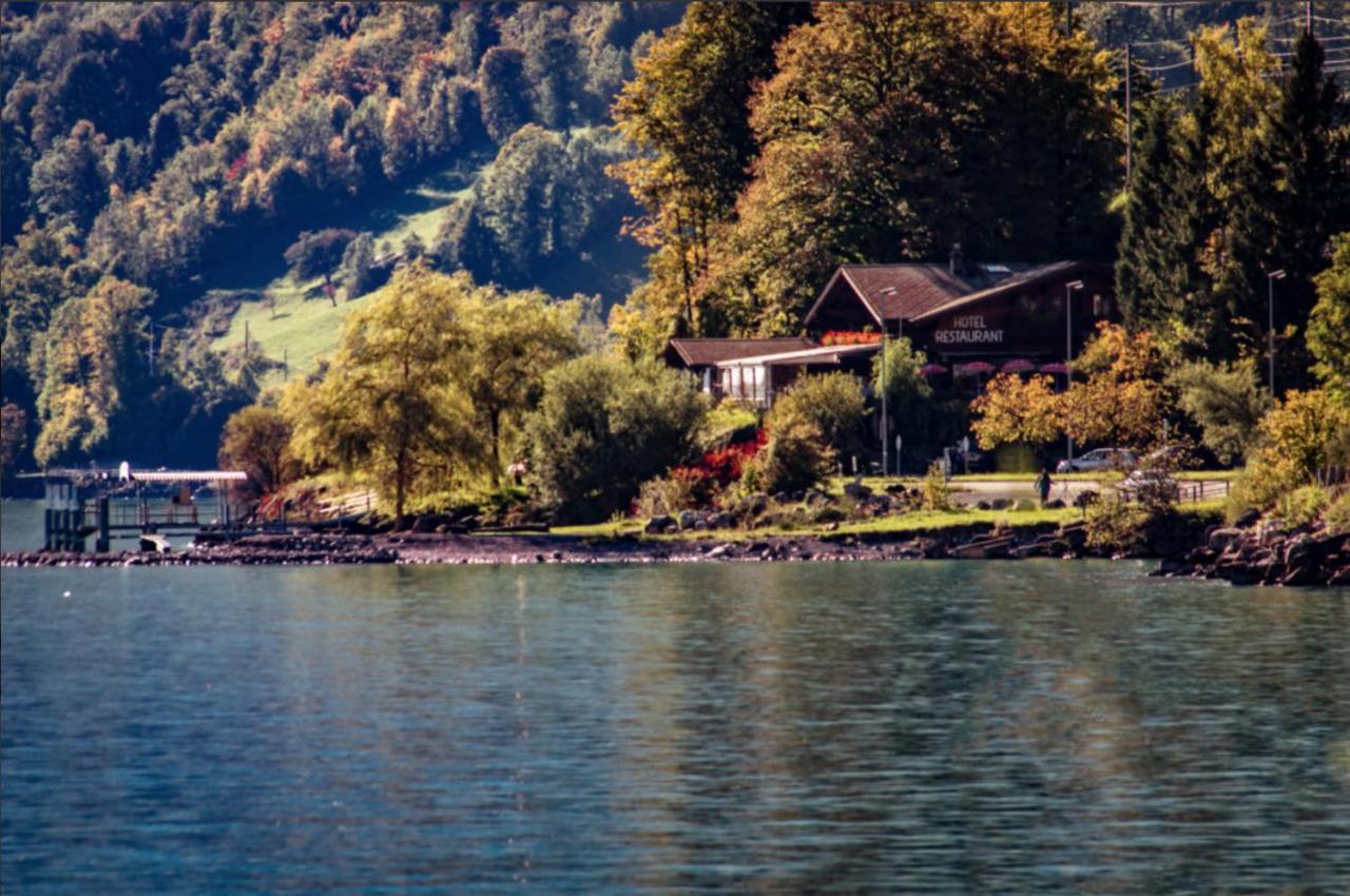 Hotel Wildbach Brienz Brienz  Exterior photo